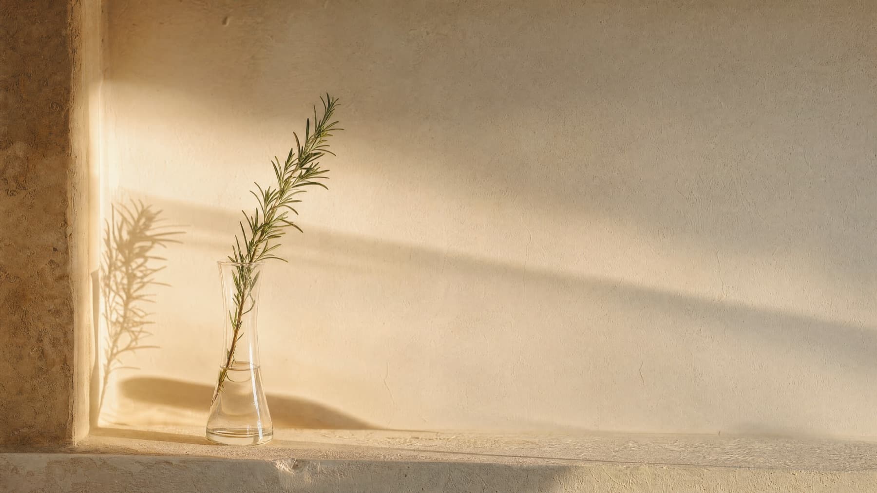 A sprig of rosemary in a glass vase, lit by afternoon light
